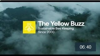 the yellow buzz Video Vorschaubild